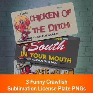 Puede incluir: Tres placas de matrícula con diseños humorísticos de cangrejos de río. La placa superior dice "CHICKEN OF THE DITCH!". La placa del medio dice "South IN YOUR MOUTH". La placa inferior presenta un cangrejo de río con un sombrero de vaquero. Todas las placas son de Luisiana.