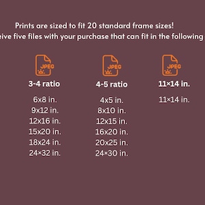 May include: A chart showing the standard frame sizes for prints in five different aspect ratios: 2:3, 3:4, 4:5, 11:14 inches, and ISO. The chart lists the dimensions of each frame size in inches.