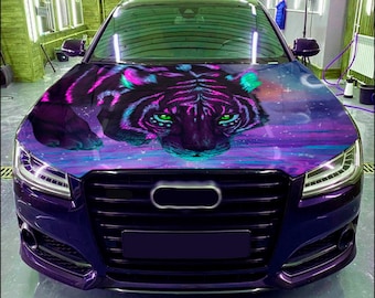 May include: A black car with a custom paint job featuring a purple and blue galaxy design with a black tiger head in the center.
