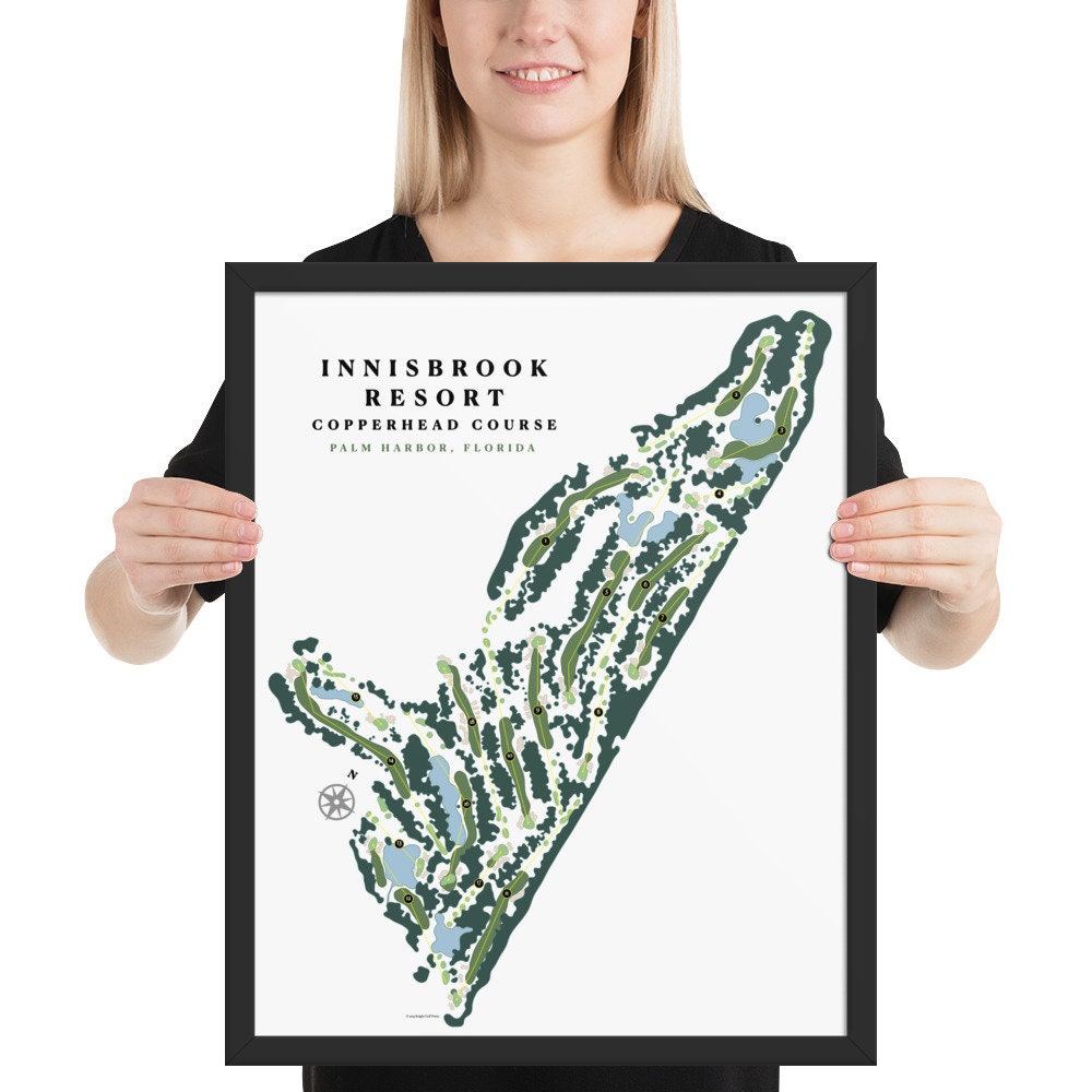 Innisbrook Resort Copperhead Course Palm Harbor Florida - Etsy