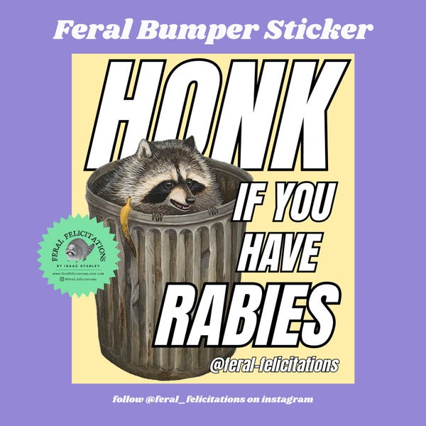 Raccoon Rabies Bumper Sticker Decal: