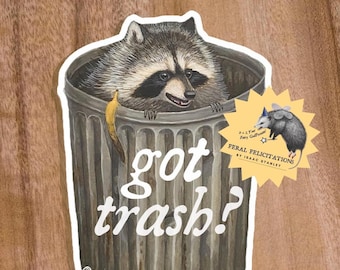 Trashcan Raccoon Got Trash Sticker Decal