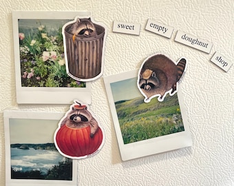 Raccoon Fridge Magnets - 3 Pack - Original Art By Feral Felicitations