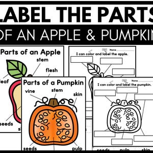 May include: Black and white printable worksheet with illustrations of an apple and a pumpkin. The worksheet includes labels for the parts of each fruit, such as stem, flesh, seeds, vine, and skin. The text "I can colour and label the apple." and "I can colour and label the pumpkin." is included on the worksheet.