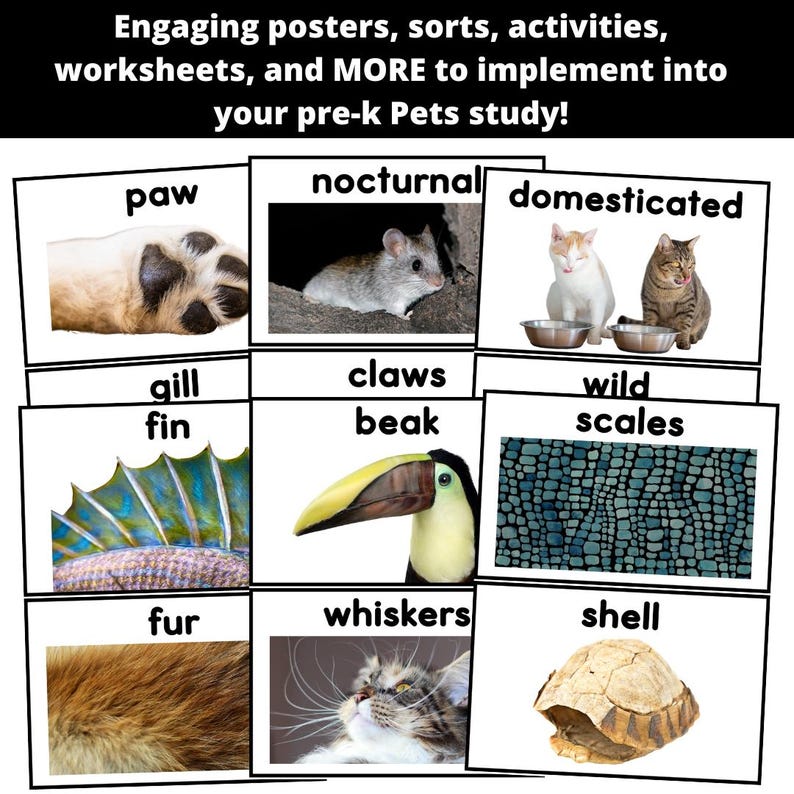 Pets Study Bundle Creative Curriculum - Etsy