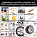 Creative Curriculum Wheels Study Bundle - Etsy