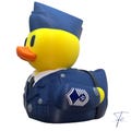 US Air Force Duck. E-1 --> E-9!! 3-D Printed. Hard Plastic