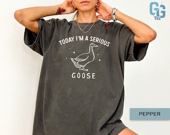 Today I'm A Serious Goose Shirt Crewneck Funny Silly Goose University Shirt
