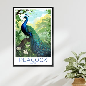 Pfau Tier Wand Kunst bunter blauer Vogel Dschungel Poster Wohnkultur Gefieder Zoowärter Tierliebhaber Wanddekoration Natur Indien Zoo gerahmter Druck