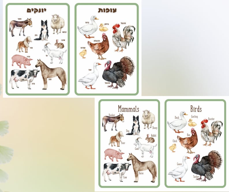 Farm Animals Flashcards Toddler Flash Cards Printable Etsy