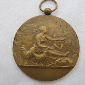 Bronze Art Medal Pendant Belgian, Animal Protection Society of Belgium, Young Girl feeding Chickens Birds Rabbits Turkey, Pastoral scene