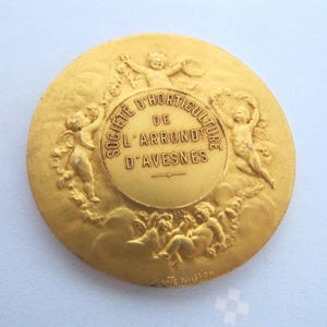 Médaillon Société française d'horticulture avec chérubins ailés, horticulteur dans un jardin, bronze émaillé plaqué or médaille d'art Avesnes France