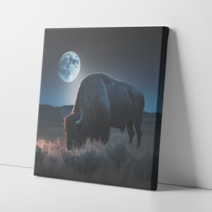 Bison Canvas Art, Bison Art Print, Bison Print
