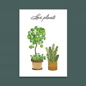 Illustration aquarelle - plantes vertes