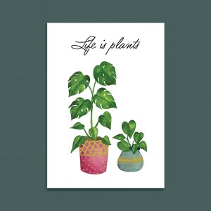 Illustration aquarelle - plantes vertes