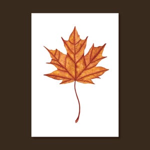 Illustration aquarelle - feuille d'automne