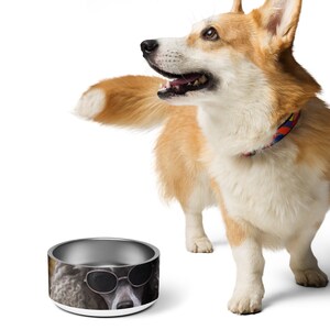 May include: A stainless steel dog bowl with a white rim and a printed image of a poodle wearing sunglasses. A corgi dog is standing behind the bowl, looking up and to the left.