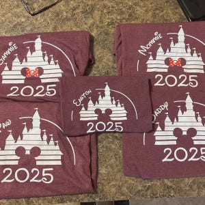 Camiseta personalizada de viaje a Disney 2026. Camiseta personalizada de vacaciones familiares en Disney, camiseta a juego de Disneyworld 2026, camiseta de Disneyland, camisetas de cumpleaños de Disney. imagen 3