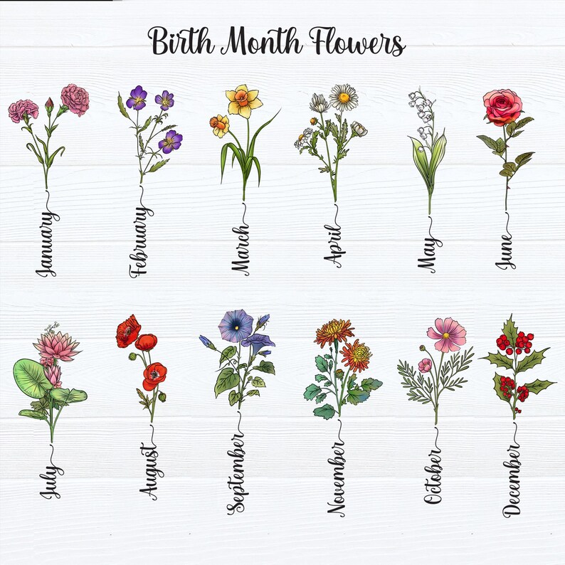 May include: A decorative print featuring twelve birth month flowers, each with a corresponding month name. The flowers include carnations, violets, daffodils, daisies, lilies of the valley, roses, water lilies, poppies, morning glories, chrysanthemums, cosmos, and holly berries.