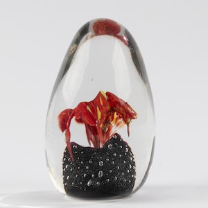 Vintage Murano Glass Paperweight