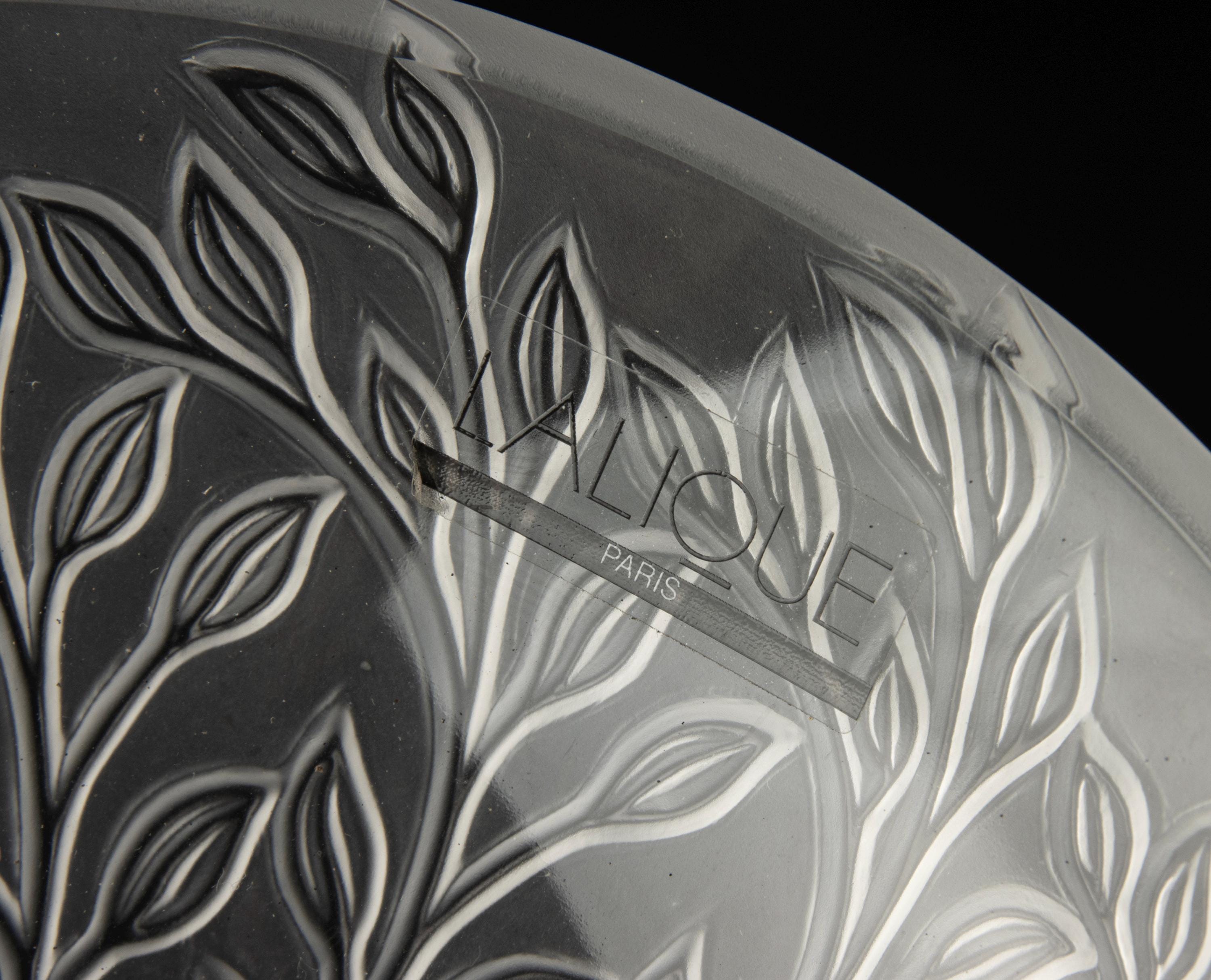 Petit Vase Lalique - Bol Feuilles De Chêne En Cristal Givré Blanc - Occasion