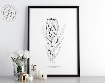 Pink Ice Protea Botanical Sketch Print, Modern Black White Flower Art (Digital Download)