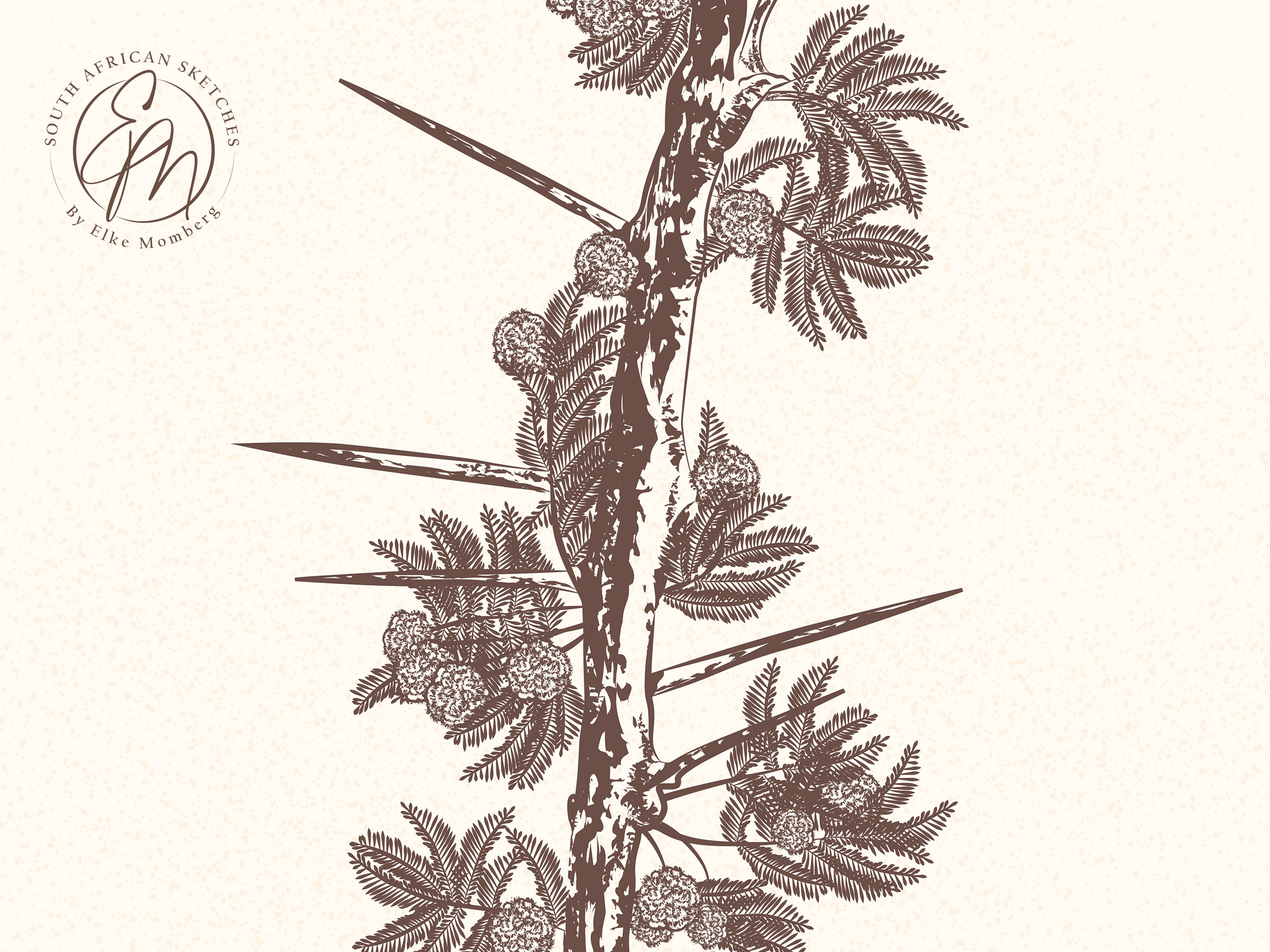 Umbrella Thorn Tree Branch Botanical Wall Art, Vintage Style Digital