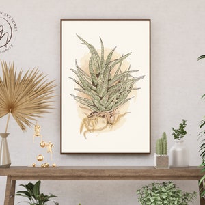 Aloe plant botanical wall art, watercolor style digital drawing, printable sketch, instant download.