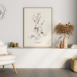 Puede incluir: Una ilustración botánica enmarcada de una flor de Clown Dorado, con el nombre científico "Clianthus puniceus" impreso debajo de la imagen. La ilustración está en tinta marrón sobre un fondo crema. El marco es de madera clara simple.