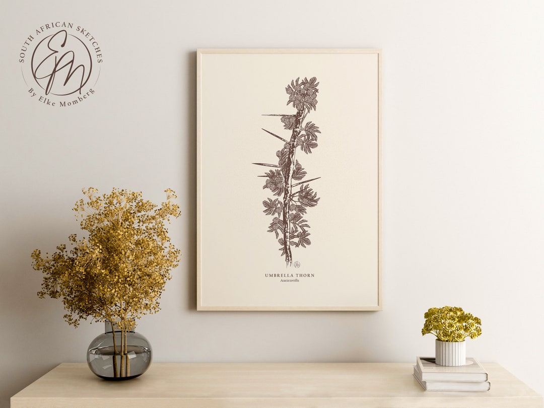 Umbrella Thorn Tree Branch Botanical Wall Art, Vintage Style Digital