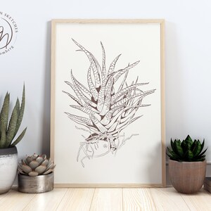 Aloe plant botanical wall art, vintage style digital drawing, printable sketch, instant download.
