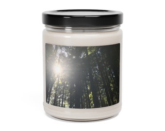 For Grounding Practices and Deep Mother Earth Connection, Scented Soy Candle, 9oz