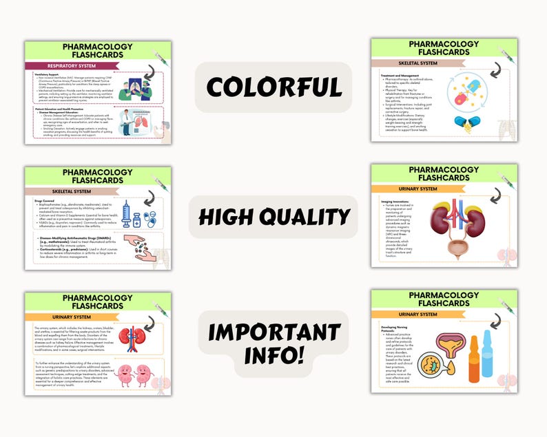 May include: Colorful flashcards with illustrations of the respiratory, skeletal, and urinary systems. The flashcards have the title "Pharmacology Flashcards" and the name of the system being illustrated.