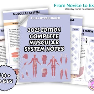 Med-Surg complete Muscular System Notes HYPERLINKED, Nursing Study Guide, Anatomy Physiology, Medical-Surgical,Nursing bundle,Nursing School