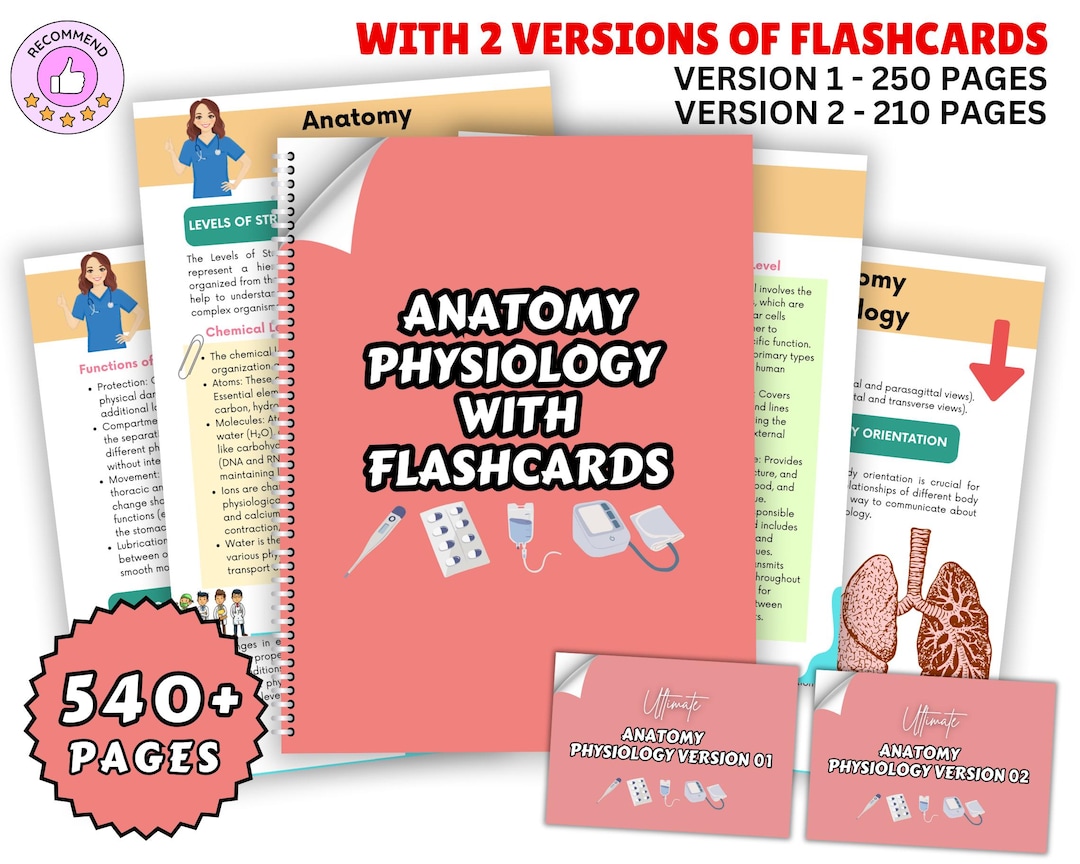 Anatomy & Physiology Bundle With Flashcards 2025, Anatomy Study Guide ...