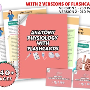 Bundel anatomie en fysiologie met flashcards 2025, studiegids anatomie, aantekeningen verpleegschool, medische aantekeningen, aantekeningen anatomie, aantekeningen fysiologie