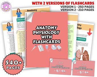 Anatomy & Physiology Bundle with Flashcards 2025, Anatomy Study Guide, Nursing School Notes, Medical Notes, Anatomy Notes, Physiology Notes