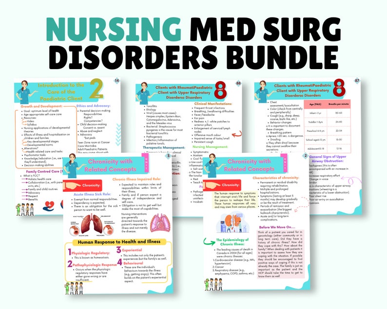 Med-surg Study Bundle 2024, Nursing Study Guide, Med Surg Notes ...
