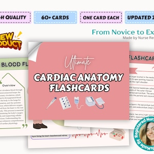 Cartes mémoire complètes 2025 sur l'anatomie cardiaque, Système cardiovasculaire, Anatomie cardiaque, Notes sur l'allaitement, Notes cardiovasculaires, Anatomie et physiologie