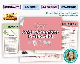 Complete Cardiac Anatomy Flashcards 2025, Cardiovascular System, Heart Anatomy, Nursing Notes, Cardiovascular Notes , Anatomy Physiology