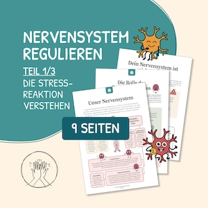 Könnte beinhalten: Ein Set aus neun Bildungsseiten mit dem Titel Nervensystem Regulieren Teil 1/3 Die Stress-Reaktion Verstehen. Die Dokumente enthalten Diagramme des Nervensystems, deutschen Text sowie Cartoon-Illustrationen von orangefarbenen und roten Nervenzellen.
