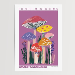 Mushroom Prints, Mushroom Poster, Mushroom Illustrations, Mushroom Decor, Botanical Prints, Vintage Mushroom, Mushroom Wall Art, Retro Art