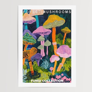 Mushroom Prints, Mushroom Poster, Mushroom Illustrations, Mushroom Decor, Botanical Prints, Vintage Mushroom, Mushroom Wall Art, Retro Art