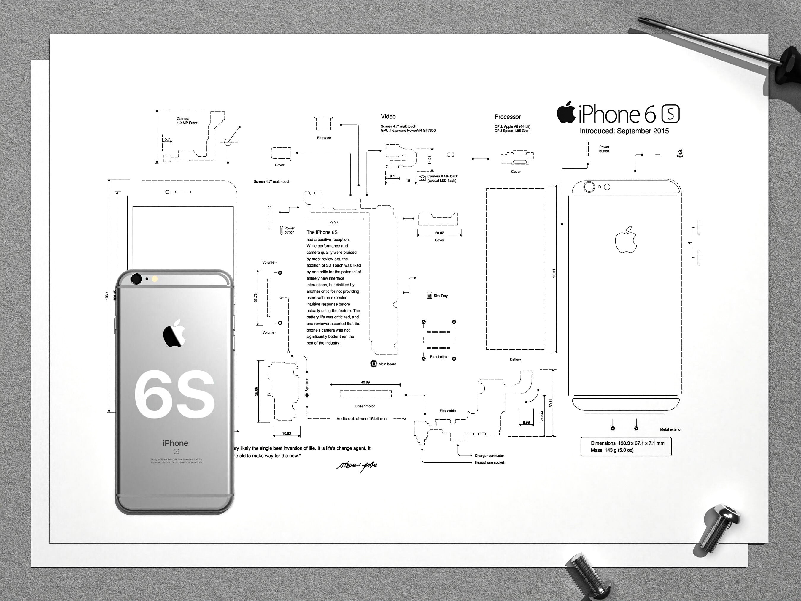 IPhone 6S Teardown Template, iPhone Template, Framed Iphone