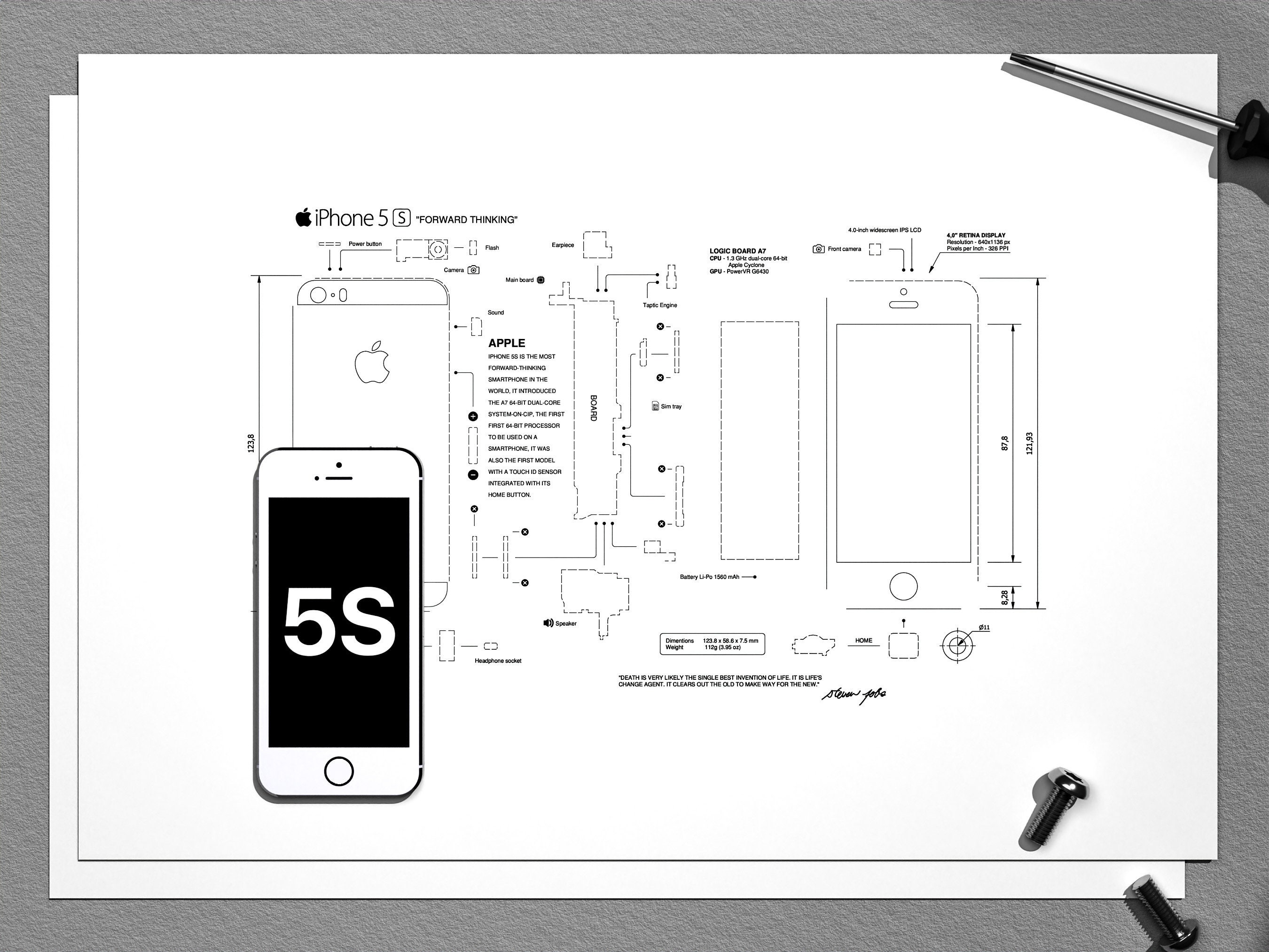 IPhone 5S Teardown Template A3 iPhone Frame Template, Framed Iphone, iPhone Wall Art, iPhone