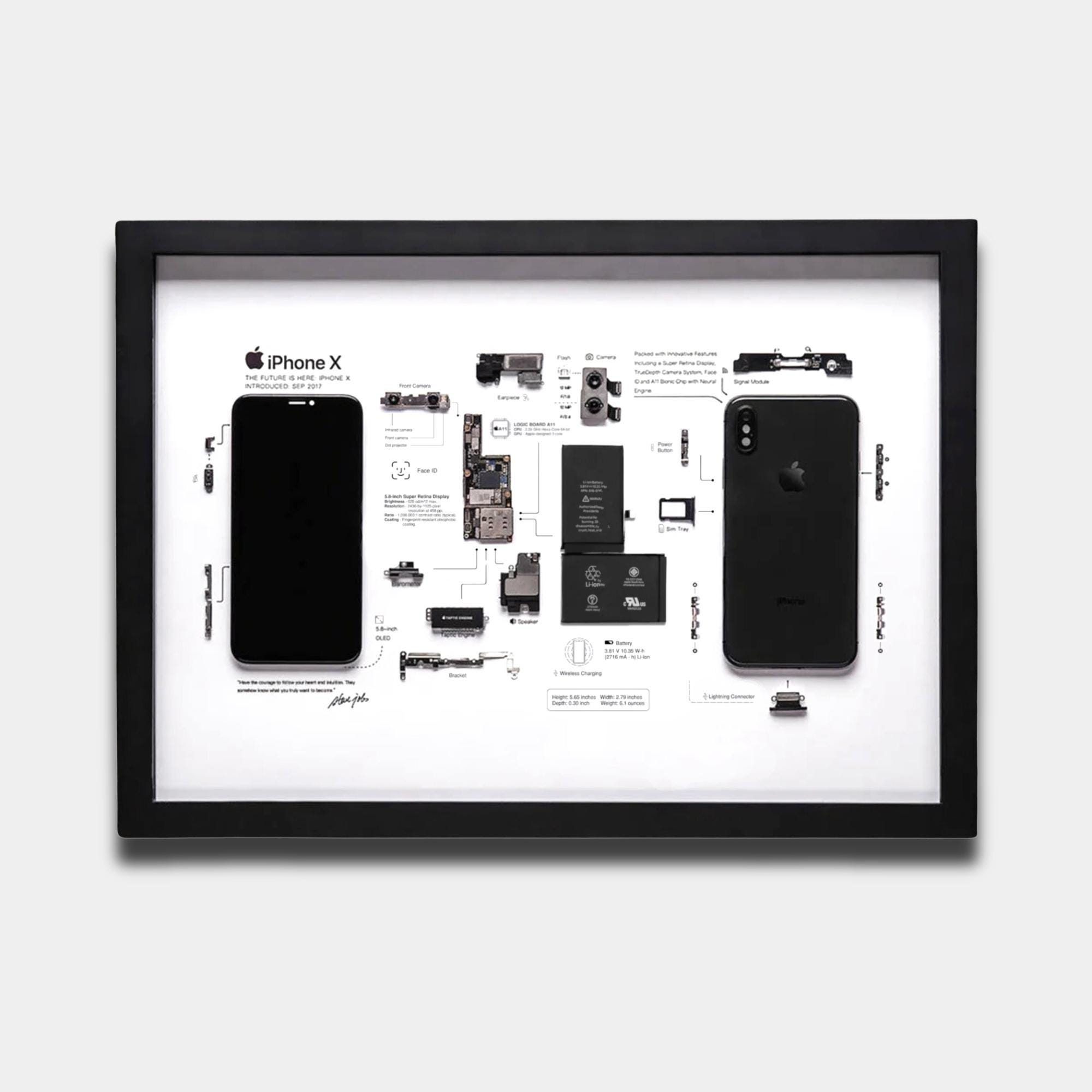 IPhone X Teardown Template, iPhone 10 Teardown, Framed Iphone