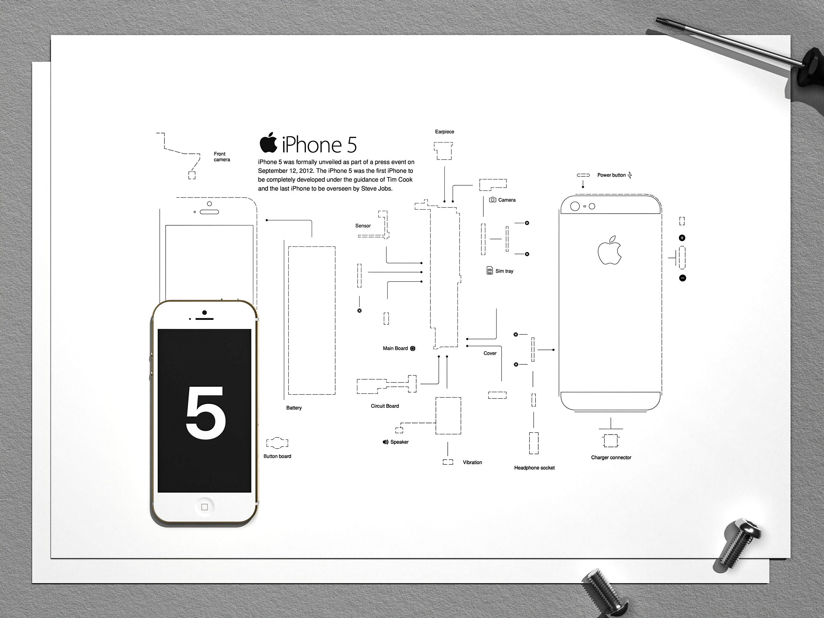 IPhone 5 Teardown Template, iPhone Teardown, Framed Iphone IPhone 5 Teardown Template, iPhone Teardown, Framed Iphone