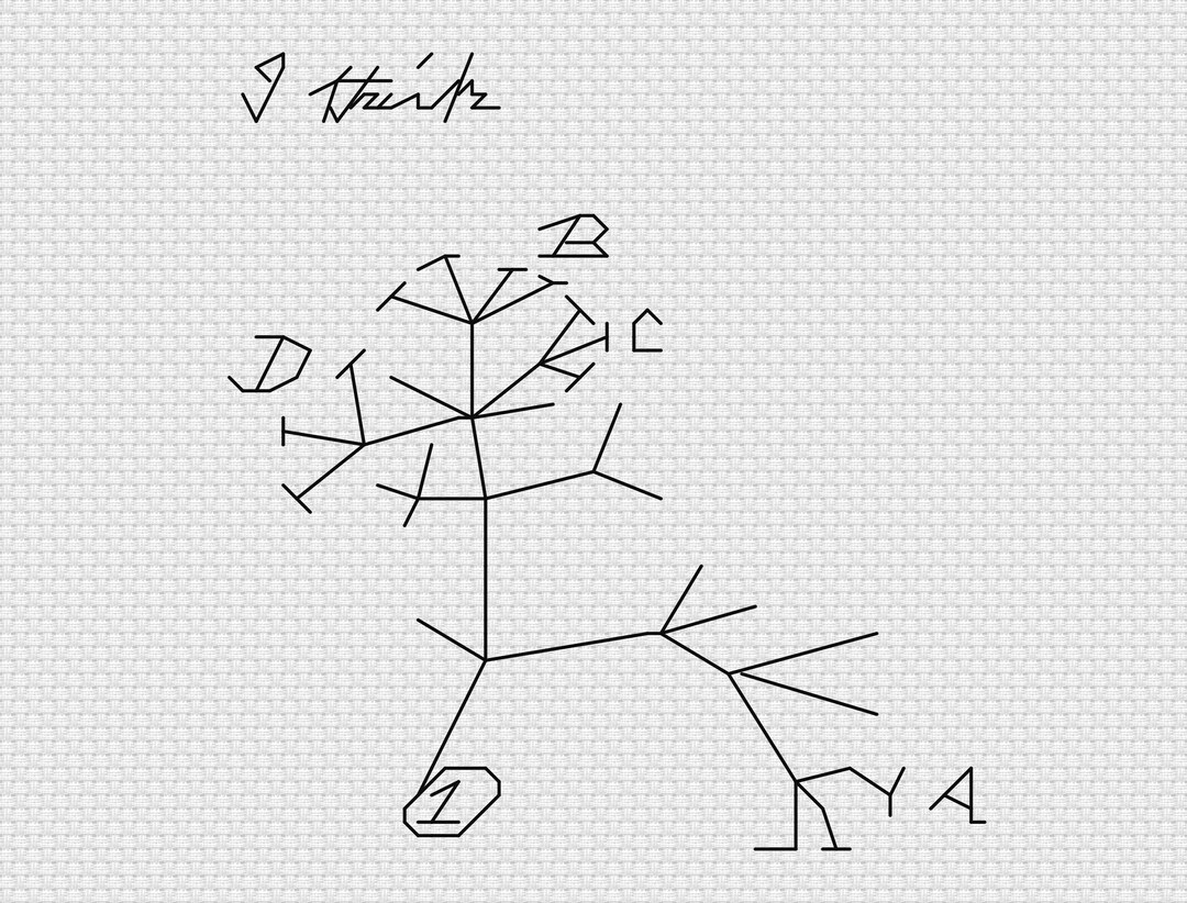 Darwin Tree of Life Embroidery Pattern Etsy