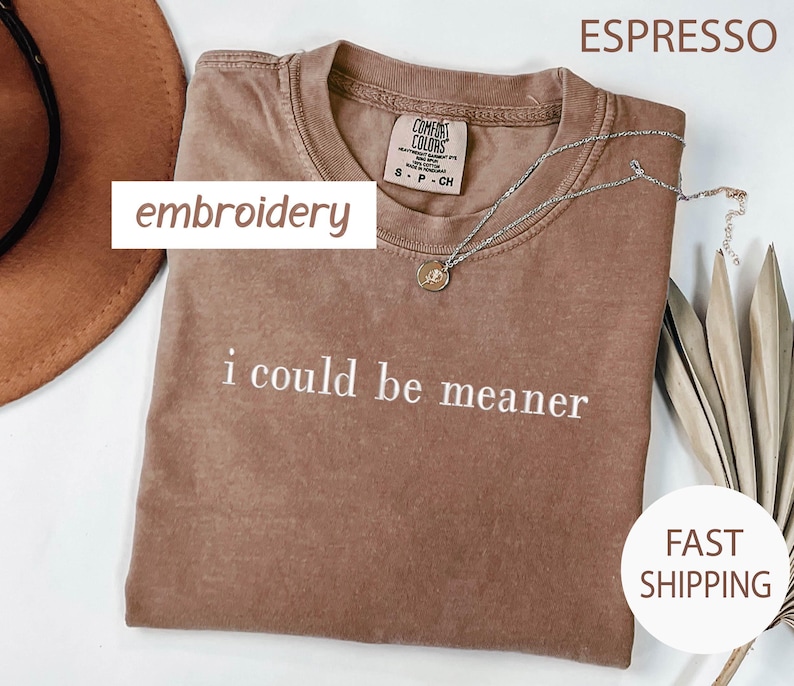 May include: Espresso-colored t-shirt with the phrase "i could be meaner" in white. The shirt has a crew neck and a small tag. A silver necklace with a pendant is draped across the shirt. The word "embroidery" is in a white box.