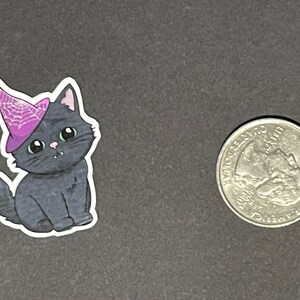 mini charlotte